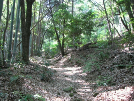 画像5